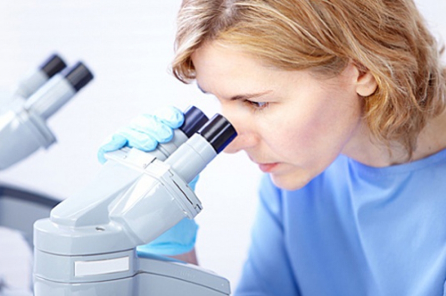 Лабораторные исследования